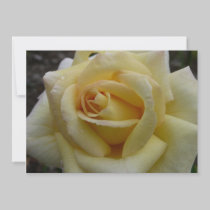 Yellow Rose invitations