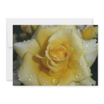 Yellow Rose invitations