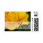 Yellow Rose • June Wedding Stamp