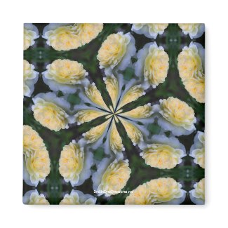 Yellow Rose Kaleidoscope Flower Photo Magnet magnet