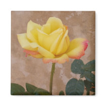 Yellow Rose Magnet by emele1 Yellow Rose Magnet