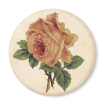 Yellow Rose Magnet