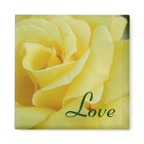 Yellow Rose magnets