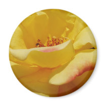 Yellow Rose Magnet by emele1 Yellow Rose Magnet