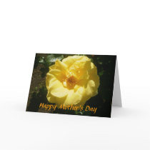 Yellow Rose Mother's Day Card
