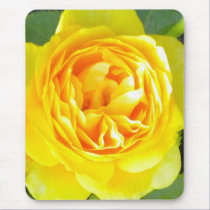 Yellow Rose Mouse pad mousepads