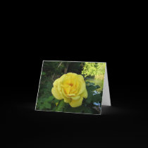 Yellow rose notecards cards