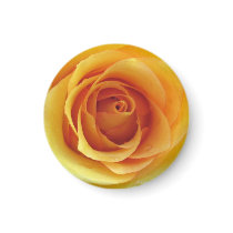 Yellow Rose of Texas Magnet by laura_tm Yellow Rose of Texas Magnet
