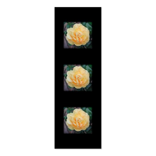 Yellow Rose, on black background. Business Card Templates (front side)