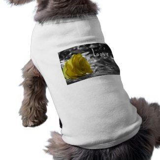 Yellow Rose On Left Side Silver Background Love petshirt