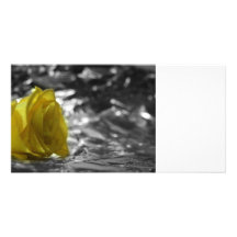 Yellow Rose On Left Side Silver Background Photo Cards