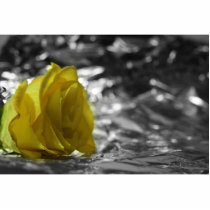 Yellow Rose On Left Side Silver Background Photo Sculpture