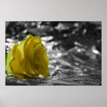 Yellow Rose On Left Side Silver Background Poster