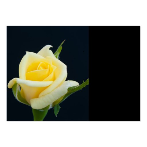 Yellow rose on the black background business cards