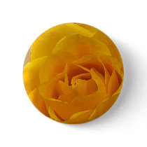Yellow Rose Petals Pins