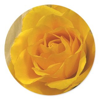 Yellow Rose Petals