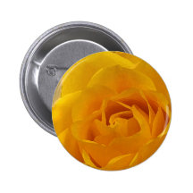 Yellow Rose Petals Pins