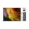 Yellow Rose postage