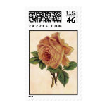 Yellow Rose Postage Stamps