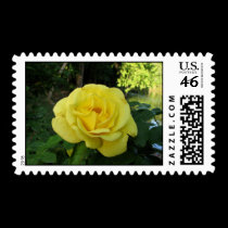Yellow Rose stamps