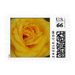 Yellow Rose Stamps