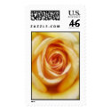 yellow rose postage
