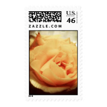 Yellow Rose stamps