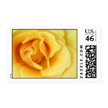 Yellow Rose Postage Stamp