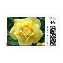Yellow Rose Postage Stamp