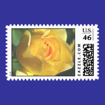 Yellow Rose POSTAGE STAMPS by RealPotential Yellow Rose POSTAGE STAMPS