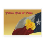 yellow rose post card