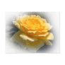 Yellow Rose Postcard