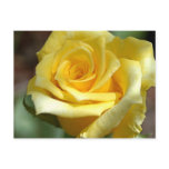 Yellow Rose Postcard - Customized