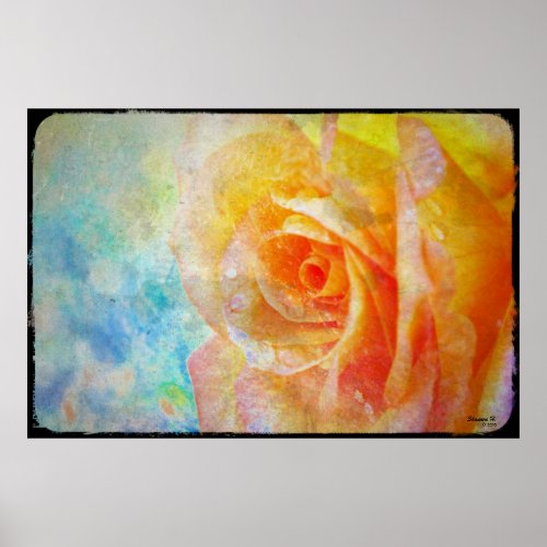 Yellow Rose Poster print