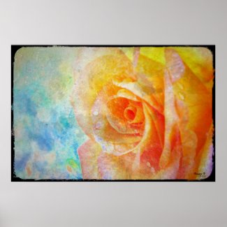 Yellow Rose Poster print