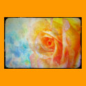 Yellow Rose Poster posters