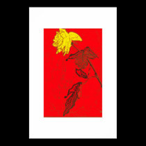 Yellow rose posters