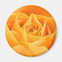 Yellow Rose Refrigerator Magnet
