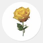 Yellow Rose Round Sticker