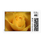 Yellow RoseS Cyr stamp