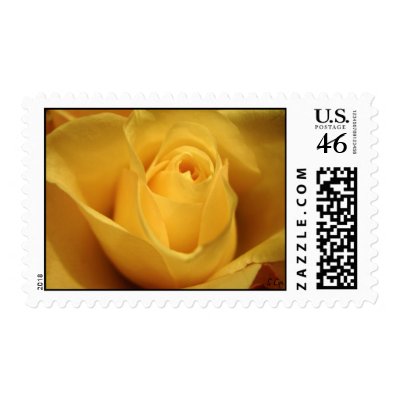 Yellow Rose, S Cyr Postage Stamps