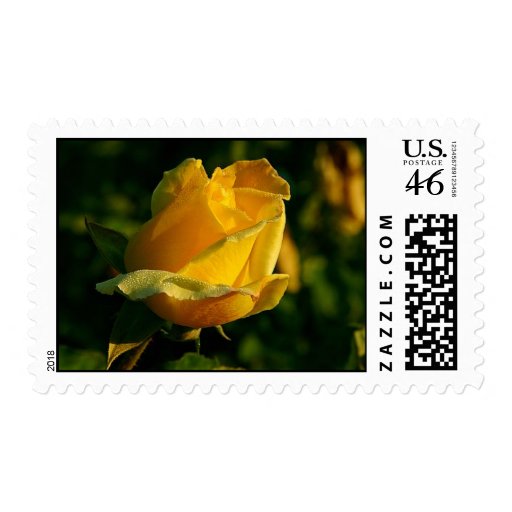 Yellow Rose Stamp