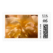 Yellow Rose Stamp # 4