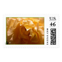 Yellow Rose Stamp #5