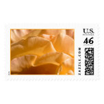 Yellow Rose Stamp #6