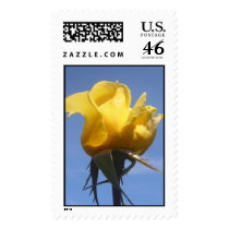 Yellow Rose Stamp #7