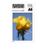 Yellow Rose Stamp #7