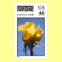Yellow Rose Stamp #7 stamps