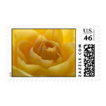 yellow rose stamp by gailg1957 yellow rose stamp
