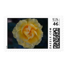 Yellow Rose stamps